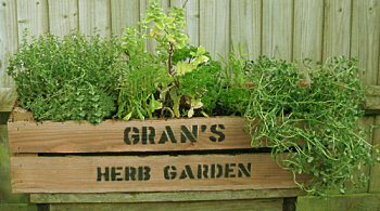 HERB CRATE